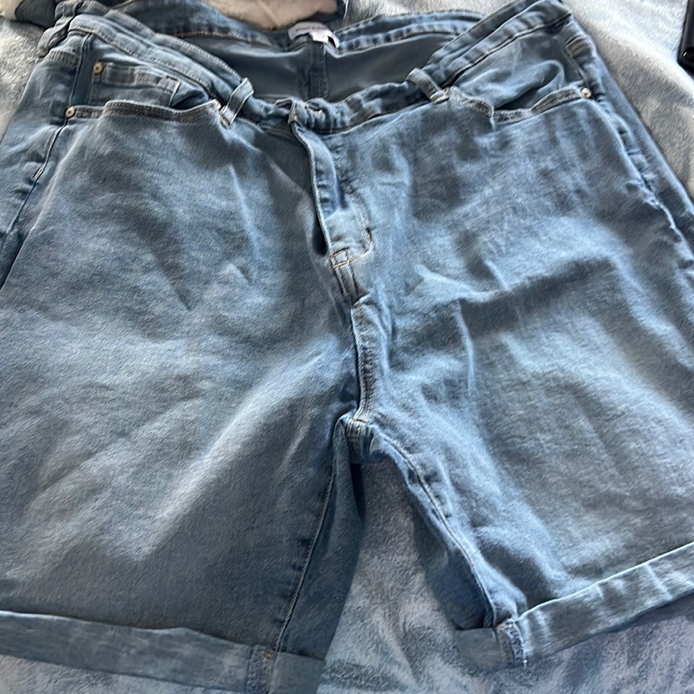 Molly $ issdora short